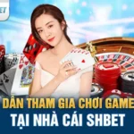 SHBET: Khám Phá Thế Giới Cá Cược Tại Nhà Cái Hàng Đầu Châu Á